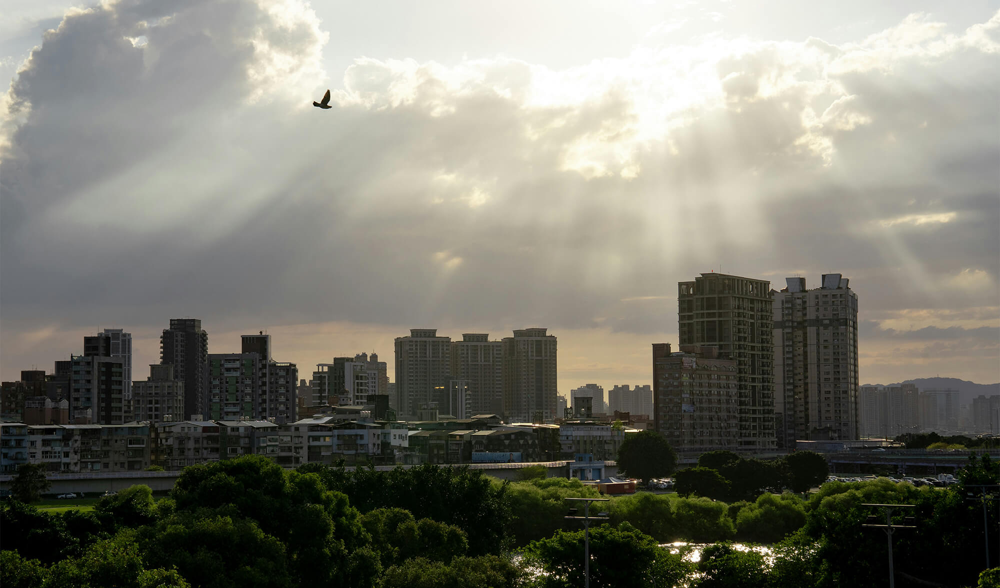 Rays of sunlight over a city skyline, representing how to have meaning, purpose, and fulfillment in an uncertain AI-driven world.