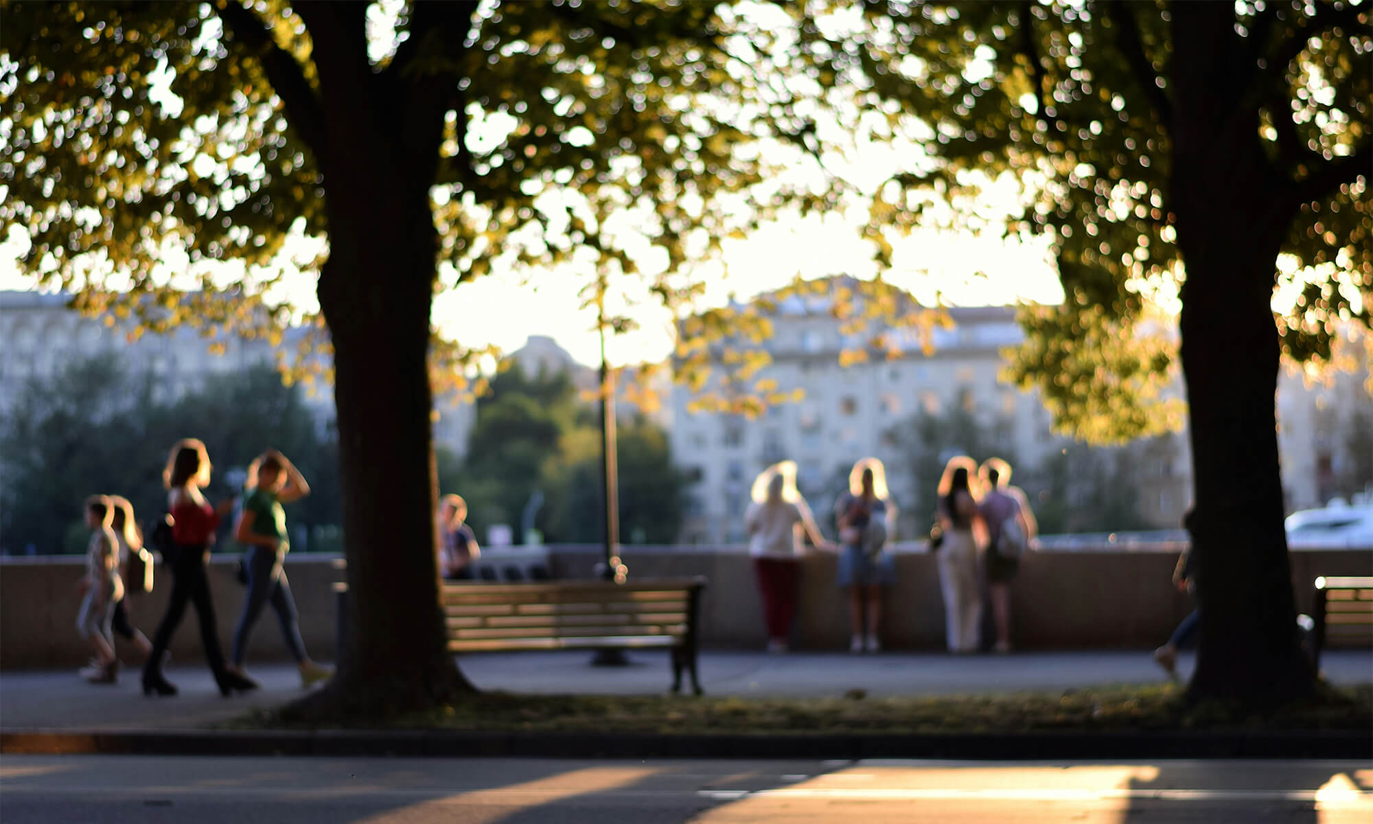 People walking and gathering in a sunlit park, reflecting how your current reality is shaped by the people, choices, and experiences in your life.